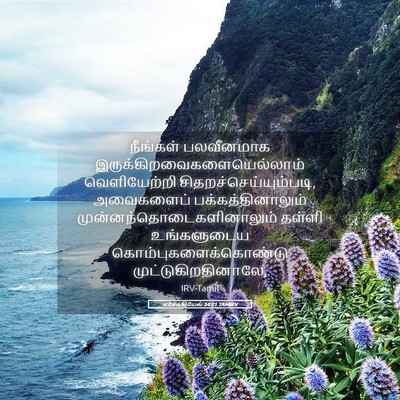 Picture 05 - எசேக்கியேல் 34:21 TAMIRV - நீங்கள் பலவீனமாக - Bible Verse Picture