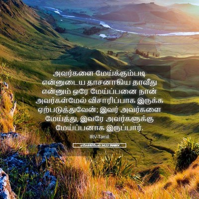 Picture 05 - எசேக்கியேல் 34:23 TAMIRV - அவர்களை - Bible Verse Picture