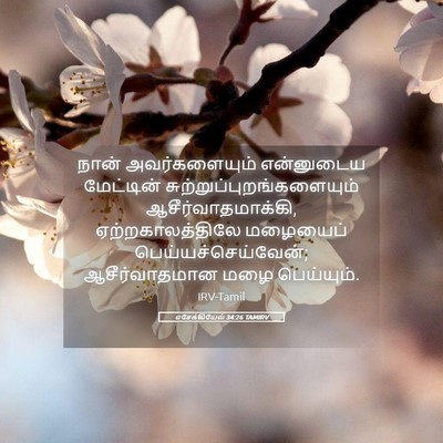 Picture 05 - எசேக்கியேல் 34:26 TAMIRV - நான் அவர்களையும் - Bible Verse Picture