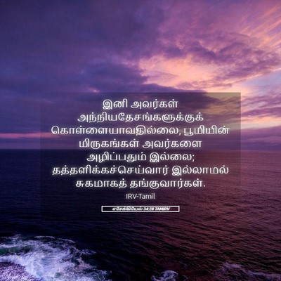 Picture 05 - எசேக்கியேல் 34:28 TAMIRV - இனி அவர்கள் - Bible Verse Picture