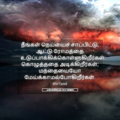 Picture 05 - எசேக்கியேல் 34:3 TAMIRV - நீங்கள் நெய்யைச் - Bible Verse Picture