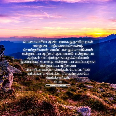 Picture 05 - எசேக்கியேல் 34:8 TAMIRV - யெகோவாகிய - Bible Verse Picture