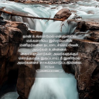 Picture 05 - எசேக்கியேல் 36:12 TAMIRV - நான் உங்கள்மேல் - Bible Verse Picture