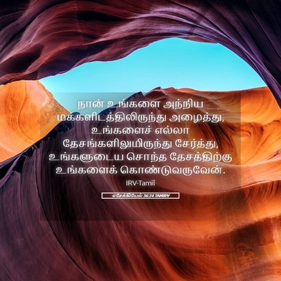 Picture 05 - எசேக்கியேல் 36:24 TAMIRV - நான் உங்களை - Bible Verse Picture