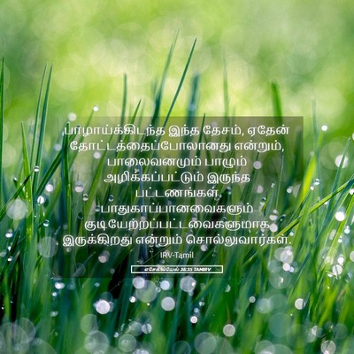 Picture 05 - எசேக்கியேல் 36:35 TAMIRV - பாழாய்க்கிடந்த - Bible Verse Picture