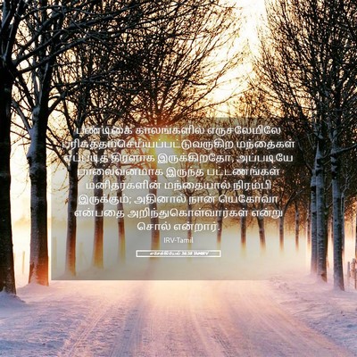Picture 05 - எசேக்கியேல் 36:38 TAMIRV - பண்டிகை - Bible Verse Picture