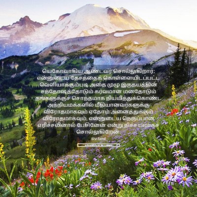 Picture 05 - எசேக்கியேல் 36:5 TAMIRV - யெகோவாகிய ஆண்டவர் - Bible Verse Picture