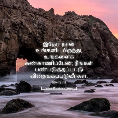 Picture 05 - எசேக்கியேல் 36:9 TAMIRV - இதோ, நான் - Bible Verse Picture