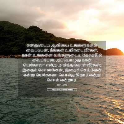 Picture 05 - எசேக்கியேல் 37:14 TAMIRV - என்னுடைய ஆவியை - Bible Verse Picture