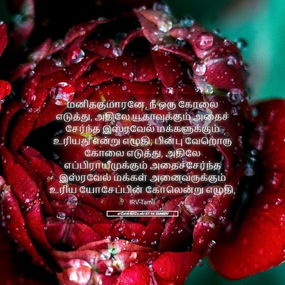 Picture 05 - எசேக்கியேல் 37:16 TAMIRV - மனிதகுமாரனே, நீ - Bible Verse Picture