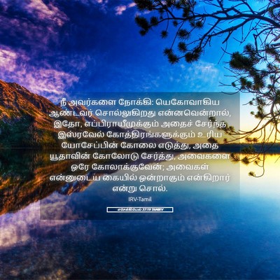 Picture 05 - எசேக்கியேல் 37:19 TAMIRV - நீ அவர்களை நோக்கி: - Bible Verse Picture