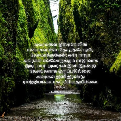 Picture 05 - எசேக்கியேல் 37:22 TAMIRV - அவர்களை - Bible Verse Picture