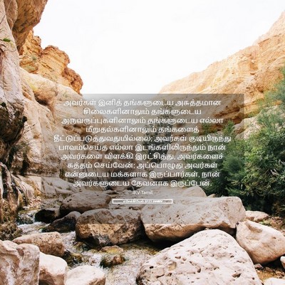 Picture 05 - எசேக்கியேல் 37:23 TAMIRV - அவர்கள் இனித் - Bible Verse Picture