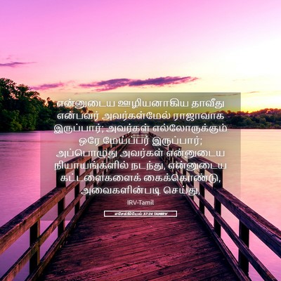 Picture 05 - எசேக்கியேல் 37:24 TAMIRV - என்னுடைய - Bible Verse Picture