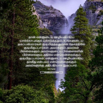 Picture 05 - எசேக்கியேல் 37:25 TAMIRV - நான் என்னுடைய - Bible Verse Picture