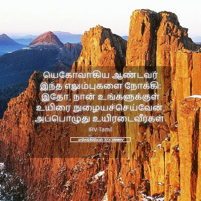 Picture 05 - எசேக்கியேல் 37:5 TAMIRV - யெகோவாகிய ஆண்டவர் - Bible Verse Picture