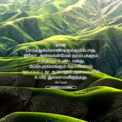 Picture 05 - எசேக்கியேல் 37:8 TAMIRV - நான் - Bible Verse Picture