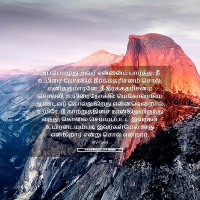 Picture 05 - எசேக்கியேல் 37:9 TAMIRV - அப்பொழுது அவர் - Bible Verse Picture