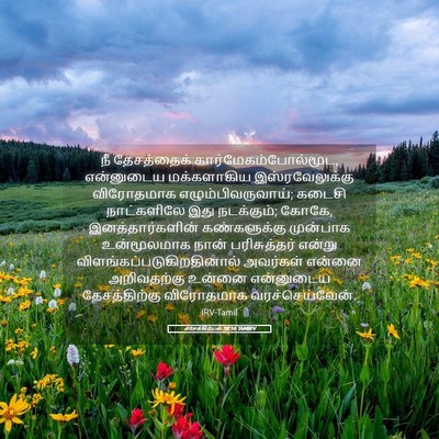 Picture 05 - எசேக்கியேல் 38:16 TAMIRV - நீ தேசத்தைக் - Bible Verse Picture