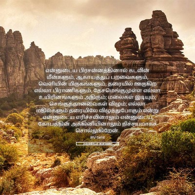 Picture 05 - எசேக்கியேல் 38:20 TAMIRV - என்னுடைய - Bible Verse Picture