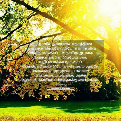 Picture 05 - எசேக்கியேல் 39:11 TAMIRV - அந்த நாளில் - Bible Verse Picture