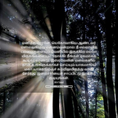 Picture 05 - எசேக்கியேல் 39:17 TAMIRV - மனிதகுமாரனே, - Bible Verse Picture