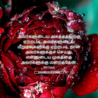 Picture 05 - எசேக்கியேல் 39:24 TAMIRV - அவர்களுடைய - Bible Verse Picture