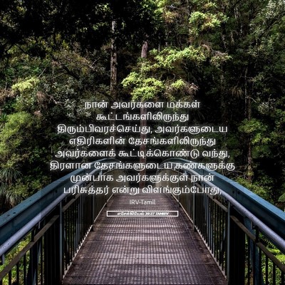 Picture 05 - எசேக்கியேல் 39:27 TAMIRV - நான் அவர்களை - Bible Verse Picture
