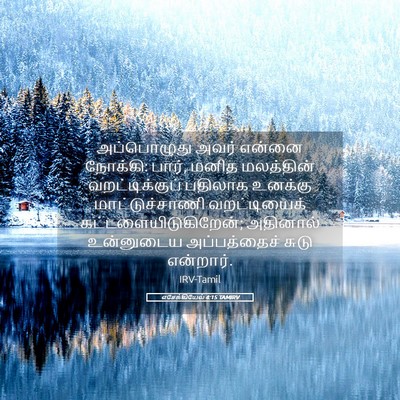 Picture 05 - எசேக்கியேல் 4:15 TAMIRV - அப்பொழுது அவர் - Bible Verse Picture