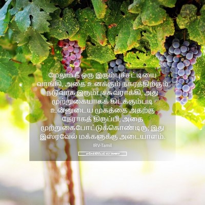 Picture 05 - எசேக்கியேல் 4:3 TAMIRV - மேலும் நீ ஒரு - Bible Verse Picture