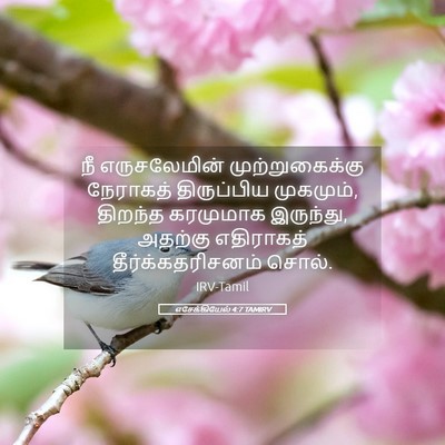 Picture 05 - எசேக்கியேல் 4:7 TAMIRV - நீ எருசலேமின் - Bible Verse Picture