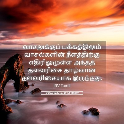 Picture 05 - எசேக்கியேல் 40:18 TAMIRV - வாசலுக்குப் - Bible Verse Picture