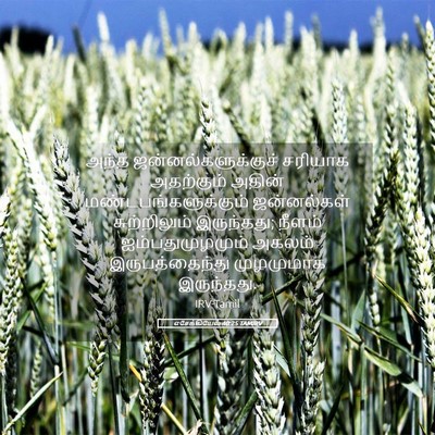 Picture 05 - எசேக்கியேல் 40:25 TAMIRV - அந்த - Bible Verse Picture