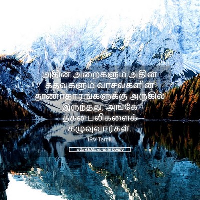 Picture 05 - எசேக்கியேல் 40:38 TAMIRV - அதின் அறைகளும் - Bible Verse Picture