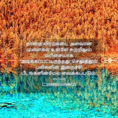 Picture 05 - எசேக்கியேல் 40:43 TAMIRV - நான்கு விரற்கடை - Bible Verse Picture