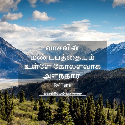 Picture 05 - எசேக்கியேல் 40:8 TAMIRV - வாசலின் - Bible Verse Picture
