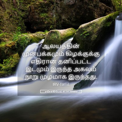 Picture 05 - எசேக்கியேல் 41:14 TAMIRV - ஆலயத்தின் - Bible Verse Picture