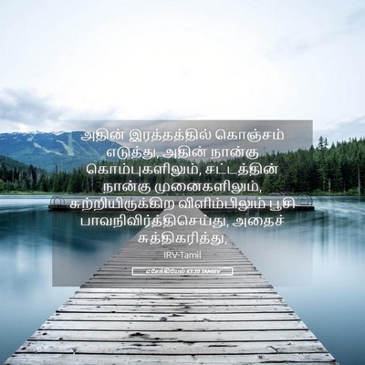 Picture 05 - எசேக்கியேல் 43:20 TAMIRV - அதின் இரத்தத்தில் - Bible Verse Picture