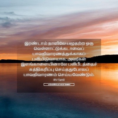 Picture 05 - எசேக்கியேல் 43:22 TAMIRV - இரண்டாம் நாளிலே - Bible Verse Picture