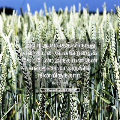 Picture 05 - எசேக்கியேல் 43:6 TAMIRV - அவர் - Bible Verse Picture