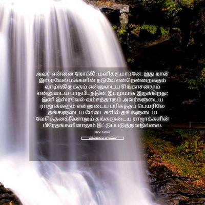 Picture 05 - எசேக்கியேல் 43:7 TAMIRV - அவர் என்னை நோக்கி: - Bible Verse Picture