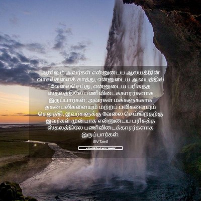 Picture 05 - எசேக்கியேல் 44:11 TAMIRV - ஆகிலும் அவர்கள் - Bible Verse Picture