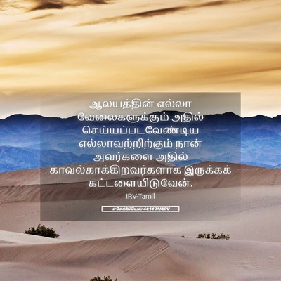 Picture 05 - எசேக்கியேல் 44:14 TAMIRV - ஆலயத்தின் எல்லா - Bible Verse Picture