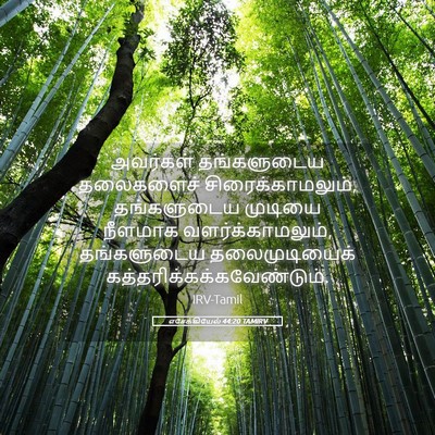Picture 05 - எசேக்கியேல் 44:20 TAMIRV - அவர்கள் தங்களுடைய - Bible Verse Picture