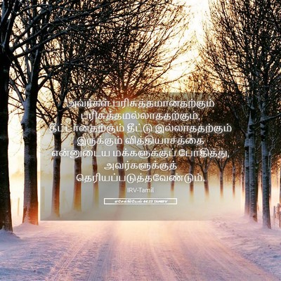 Picture 05 - எசேக்கியேல் 44:23 TAMIRV - அவர்கள் - Bible Verse Picture