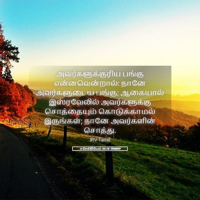 Picture 05 - எசேக்கியேல் 44:28 TAMIRV - அவர்களுக்குரிய - Bible Verse Picture