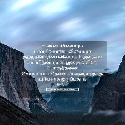 Picture 05 - எசேக்கியேல் 44:29 TAMIRV - உணவுபலியையும் - Bible Verse Picture