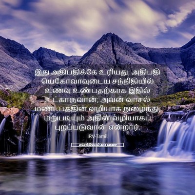 Picture 05 - எசேக்கியேல் 44:3 TAMIRV - இது அதிபதிக்கே - Bible Verse Picture