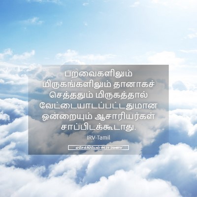 Picture 05 - எசேக்கியேல் 44:31 TAMIRV - பறவைகளிலும் - Bible Verse Picture