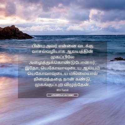 Picture 05 - எசேக்கியேல் 44:4 TAMIRV - பின்பு அவர் என்னை - Bible Verse Picture